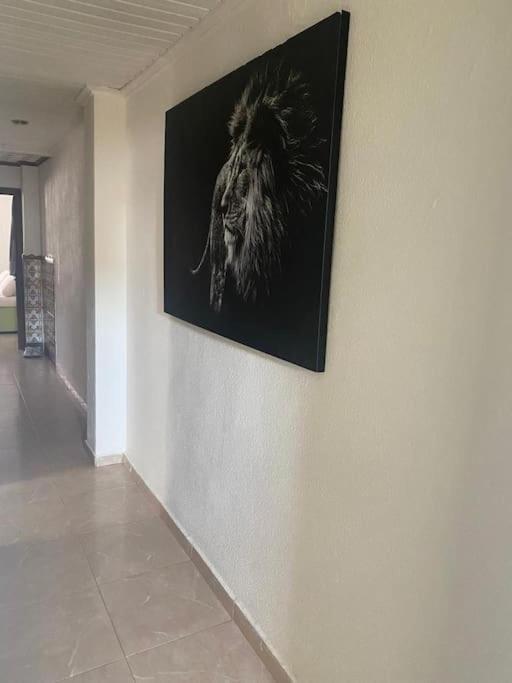 Appartement Celia Algemesi Zewnętrze zdjęcie