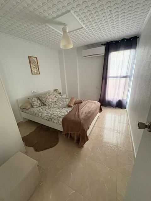 Appartement Celia Algemesi Zewnętrze zdjęcie