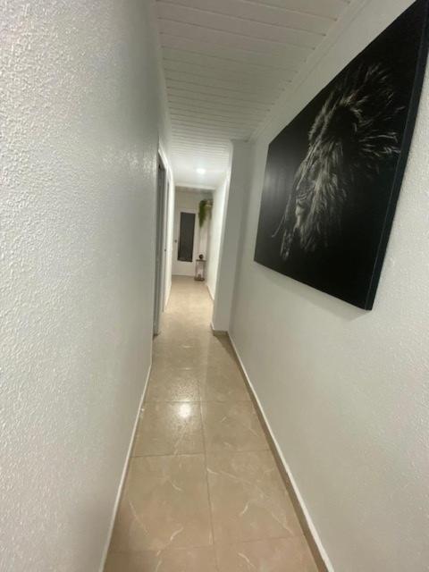 Appartement Celia Algemesi Zewnętrze zdjęcie