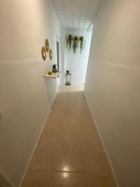 Appartement Celia Algemesi Zewnętrze zdjęcie