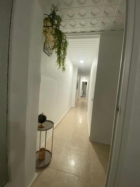 Appartement Celia Algemesi Zewnętrze zdjęcie